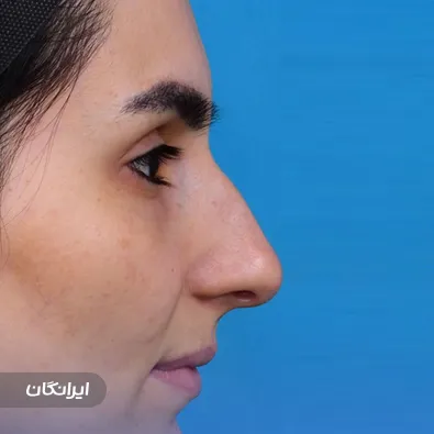 دکتر عبداله ذوالفقاری