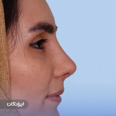 دکتر عبداله ذوالفقاری