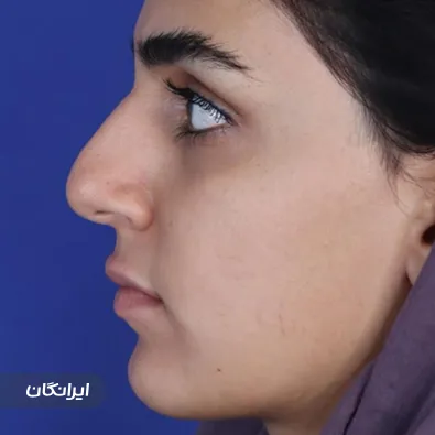 دکتر مسعود حسن پور