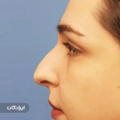 دکتر جواد اسلامی