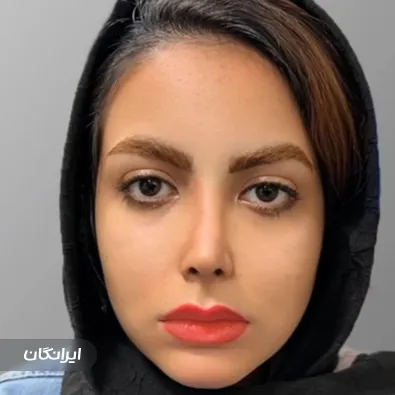 دکتر مجتبی میبدیان