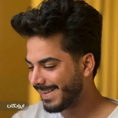 دکتر مجتبی میبدیان