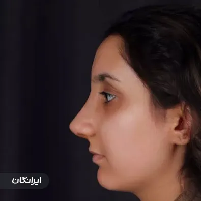 دکتر محمد زارع حقیقی