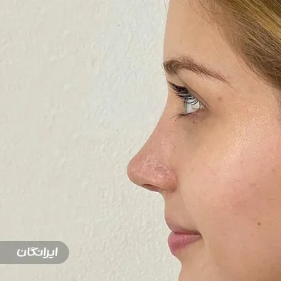 دکتر علی اکبر اعتمادی