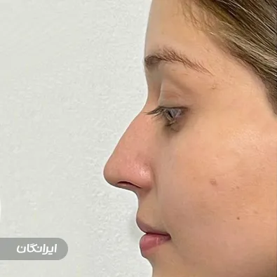 دکتر علی اکبر اعتمادی