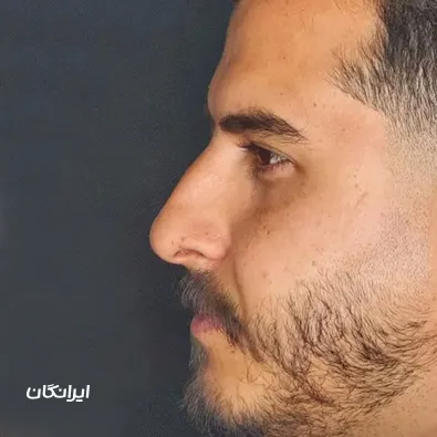 دکتر محسن فانی