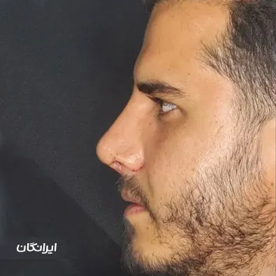 دکتر محسن فانی