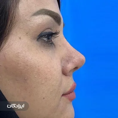 دکتر محمد ماندگاری