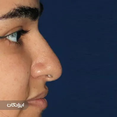 دکتر محمد معین توکلی