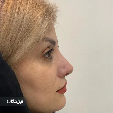 دکتر حسین محمدی