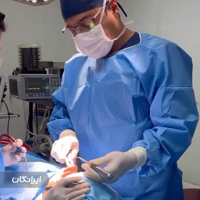 دکتر مهدی لبیبی