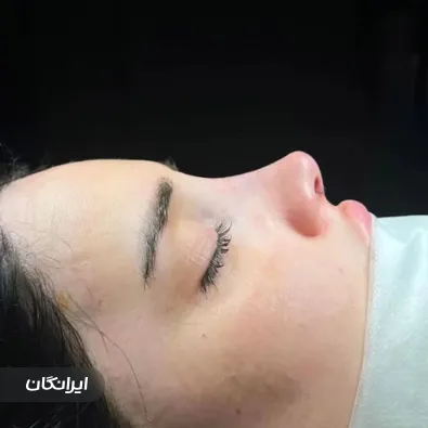 دکتر اردشیر حسن زاده بازنشین