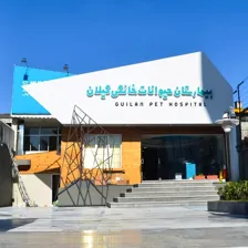بیمارستان حیوانات خانگی گیلان