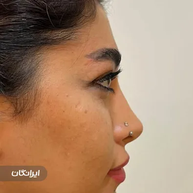 دکتر مجید حاتمی