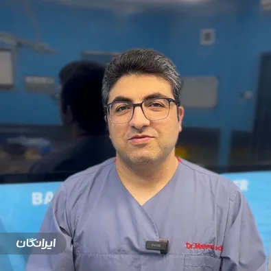 دکتر مهدی محمودی