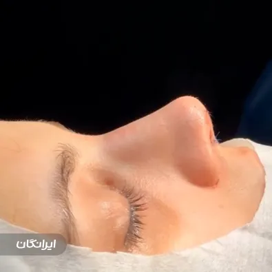 دکتر مهدی محمودی