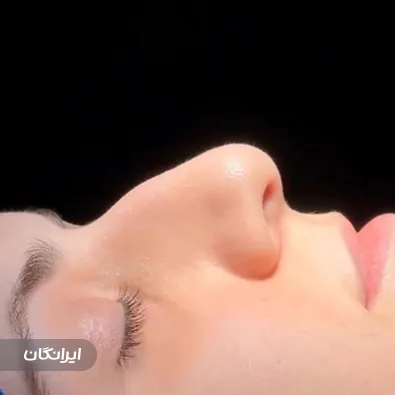 دکتر مهدی محمودی