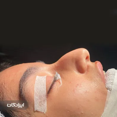 دکتر محمدجواد ریخته گر