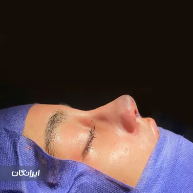 دکتر محمدجواد ریخته گر