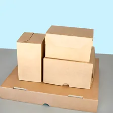 کارتن سازی بهلولی