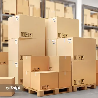 کارتن سازی بهلولی