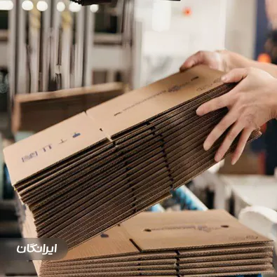 کارتن سازی بهلولی