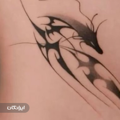 آرایش دائم فیروزه ادی