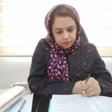 وکیل ملیحه صالحی