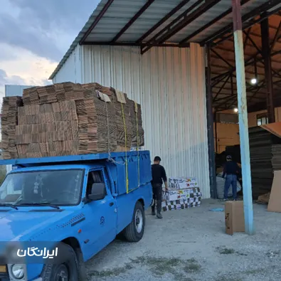 کارتن سازی پاشا لیزر