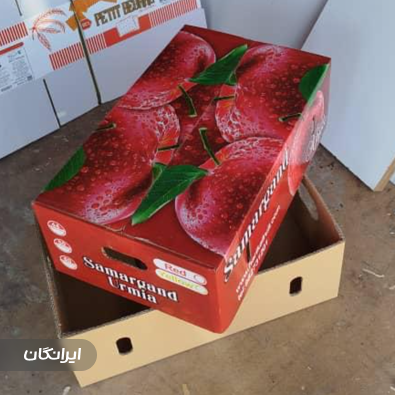 کارتن سازی پاشا لیزر