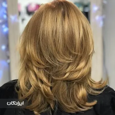 آموزشگاه کوتاهی مو آزاده حیدری