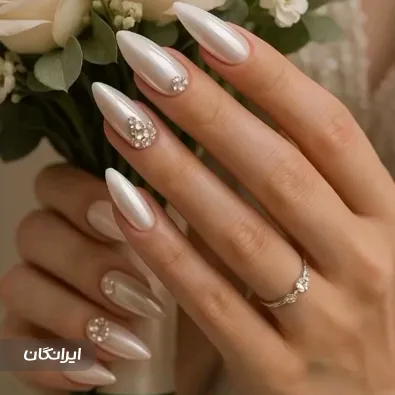 نیل آرتیست شقایق میلانی