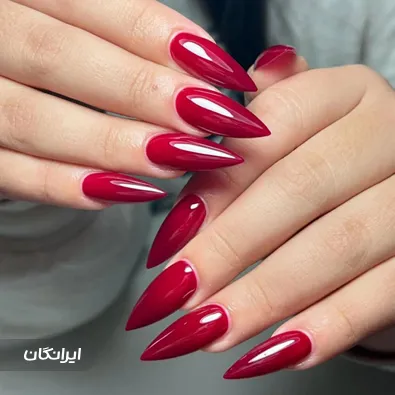 نیل آرتیست ستایش عادلی