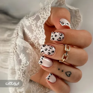 نیل آرتیست ندا هادی