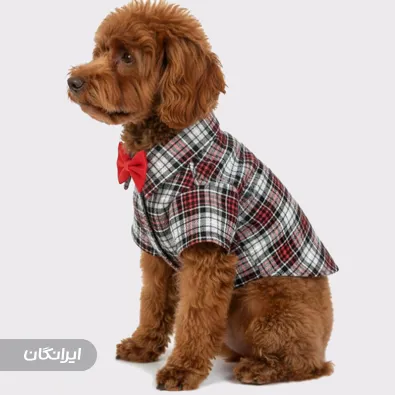 پت شاپ پانتی پت 