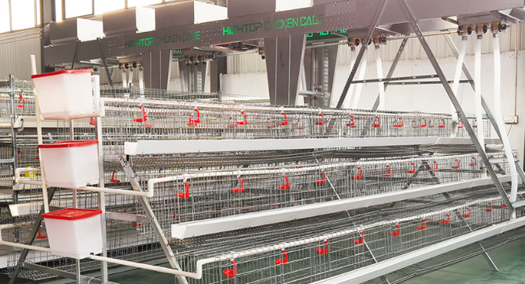 تجهیزات مرغداری