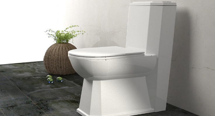 توالت فرنگی